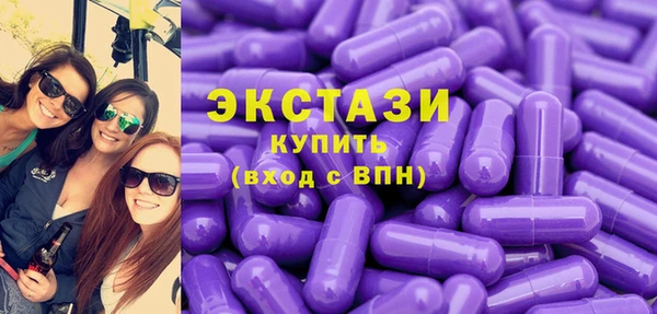 ECSTASY Богородицк